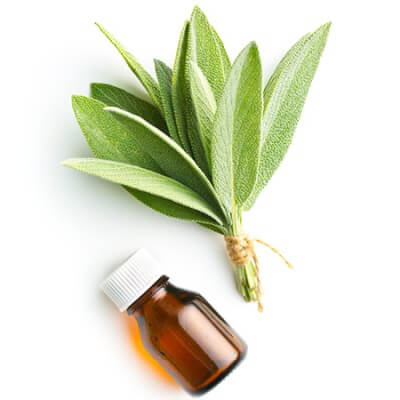 Sage Essential Oil Use for Hair Growth JINDEAL INC