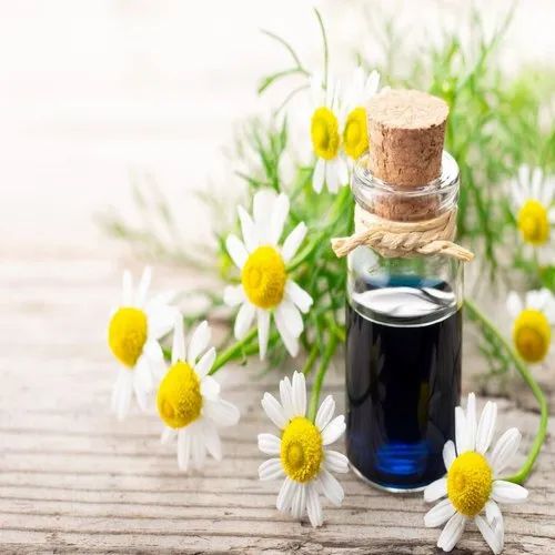 German Chamomile Essential Oil