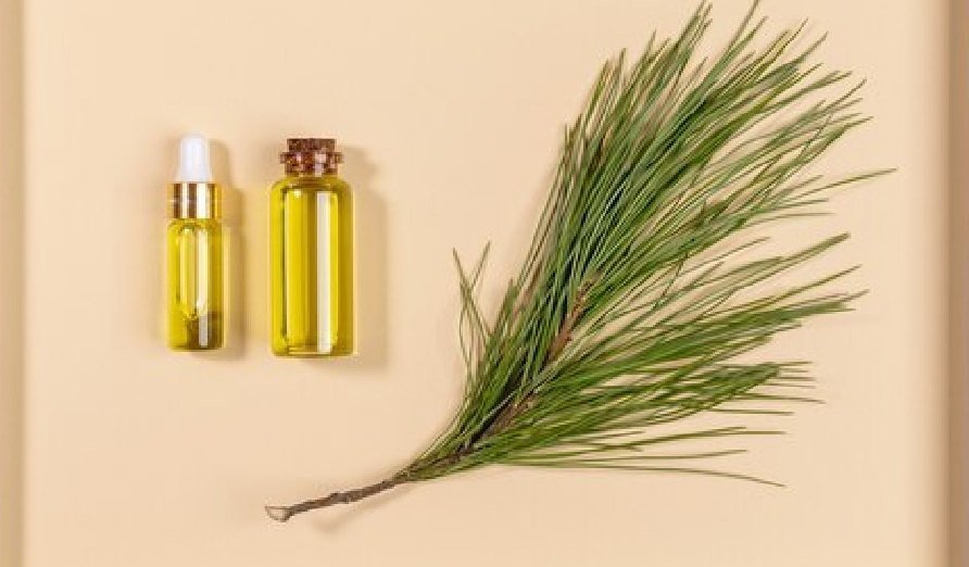 Vedini Dill Essential Oil JINDEAL INC