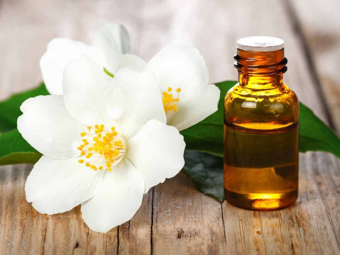 Vedini Pure Jasmine Essential Oil jasminum grandiflorum