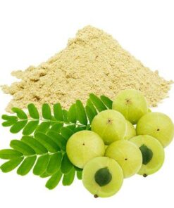 Vedini Amla powder