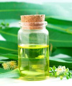 Eucalyptus Oil