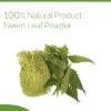 Neem Powder
