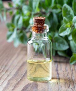Set Wet Imp Fragrance Oil