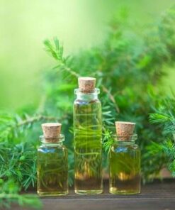 Tea Tree Essential Oil