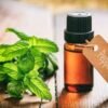 peppermint oil