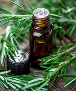 Rosemary Essential Oil