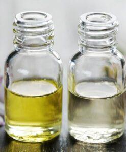 Cactus Blossom Candle Fragrance Oils