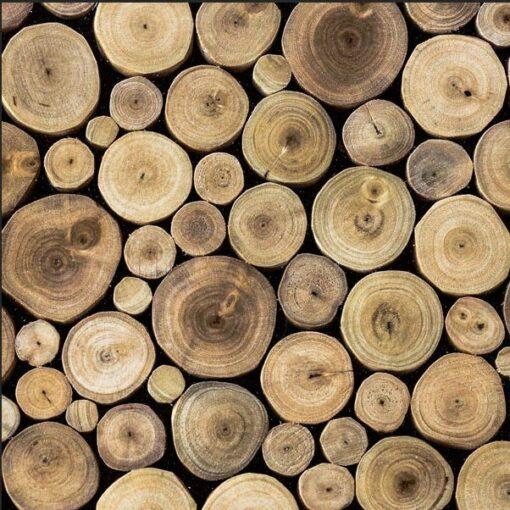 Vedini teak wood fragrance oil