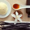 Vedini Vanilla fragrence oil