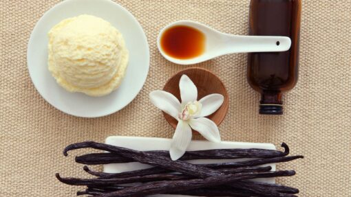 Vedini Vanilla fragrence oil