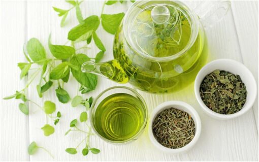 Green Tea Fragrance Oil