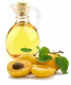 Vedini Apricot Oil