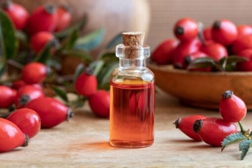 Vedini Rosehip Oil