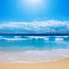 Sea Breeze Fragrance Oil