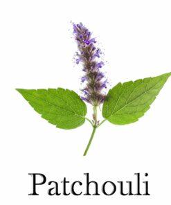 Patchouli Dark essential OIL