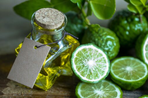 Bergamot Essential oil Origin