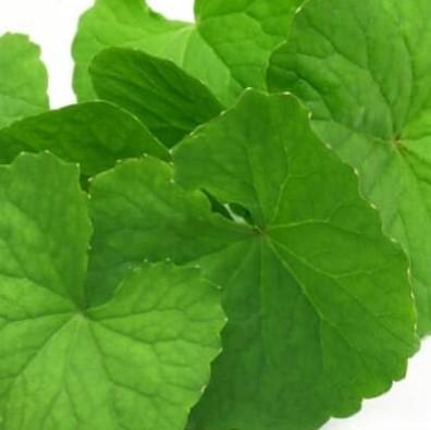 Brahmi Oil