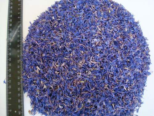 Dry Blue CORNFLOWER Petels