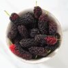 Mulberry Vanilla Candle Fragrance Oil