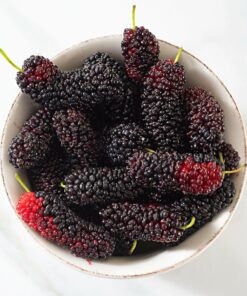 Mulberry Vanilla Candle Fragrance Oil