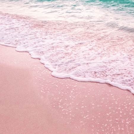 Pink Sand Fragrance Oil
