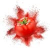 Spray-Dried-Tomato-Powder