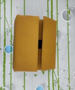 Vedini 3 PLY Corrugated Box