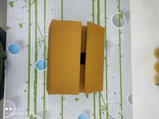 Vedini 3 PLY Corrugated Box