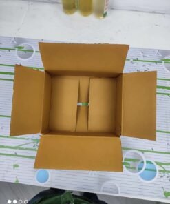 Vedini 3 PLY Corrugated Box1