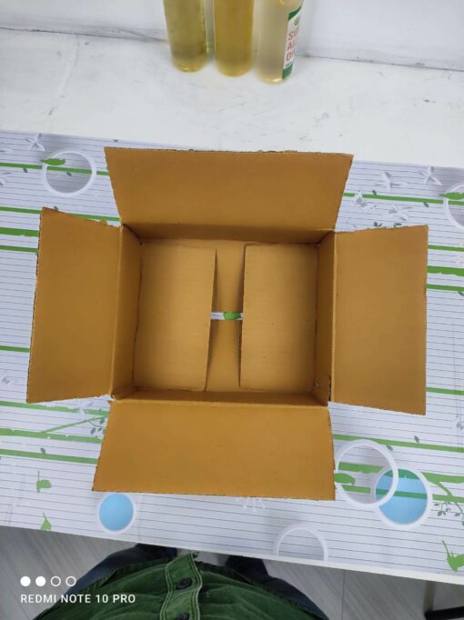 Vedini 3 PLY Corrugated Box1
