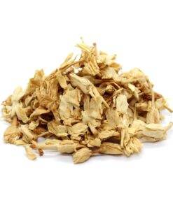 Dry Jasmine flower