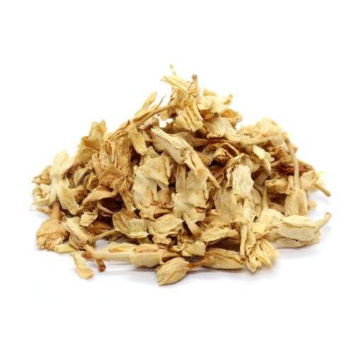 Dry Jasmine flower