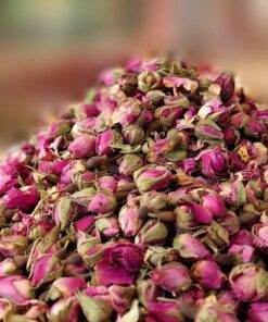 Rose Buds Flower