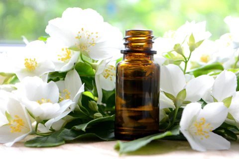 Jasmine Oil 