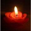 Rose Candle Fragrance oil