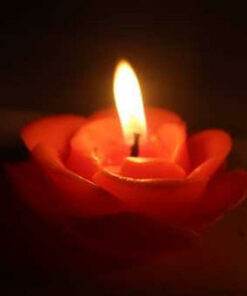 Rose Candle Fragrance oil