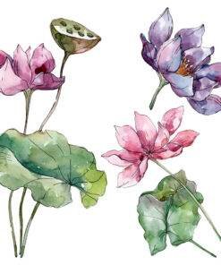 Lotus Floral Fragrance oil