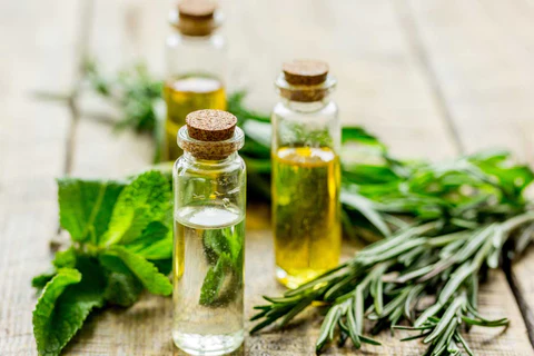 Tea Tree Oil For Scalp Care
