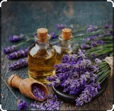 Lavender Oil For Migraine