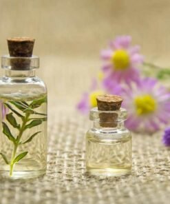 Fun Loving Cosmetic Fragrance Oils
