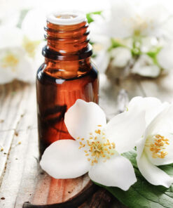 Vanilla Essential Oil
