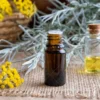 Helichrysum Essential Oil