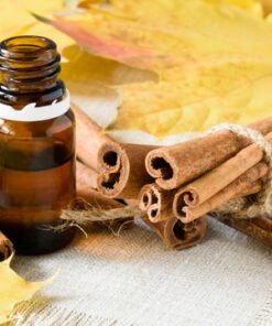 Cinnamon Bark Essential Oil