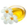 Frangipani Essential Oil