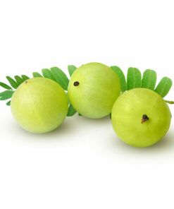 Amla Natural Extracts