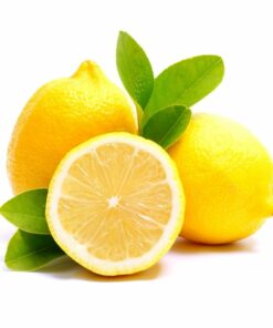 Lemon Hydrosol