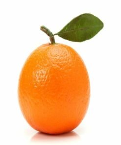 Mandarin Hydrosol Water