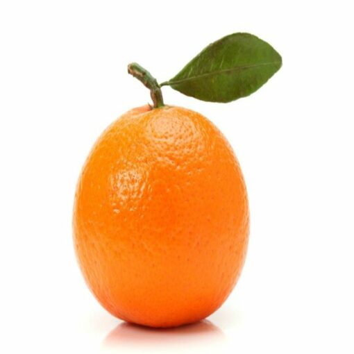 Mandarin Hydrosol Water