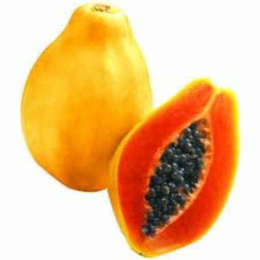 Papaya Natural Extracts